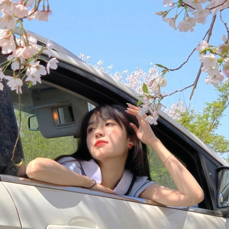 神谷道场（神谷熏主持的道场、剑心寄宿处） - 经典老电影高清在线观看 - 网络影视